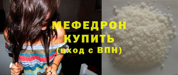 индика Тобольск