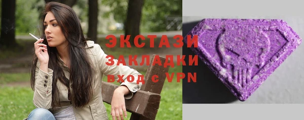 индика Тобольск