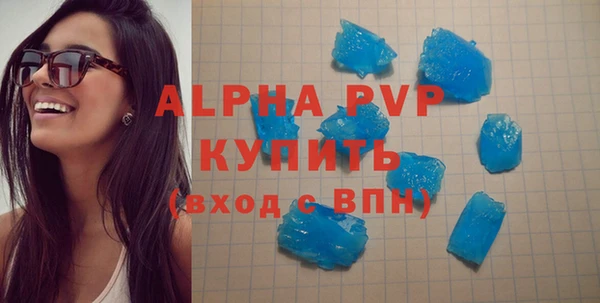 тгк Инсар