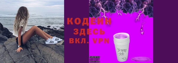 тгк Инсар