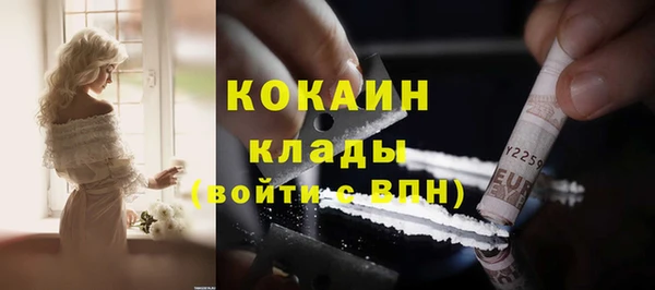 тгк Инсар