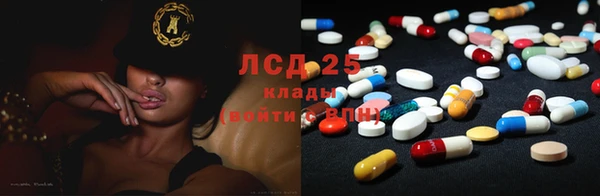 тгк Инсар