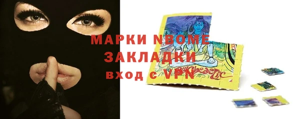 тгк Инсар