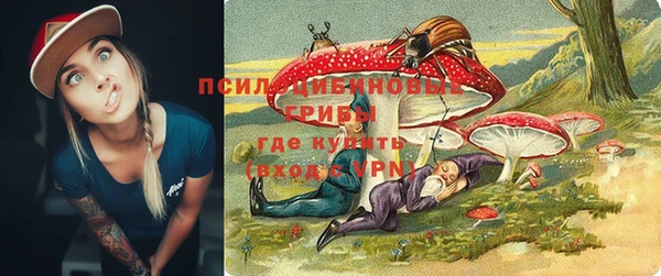 индика Тобольск
