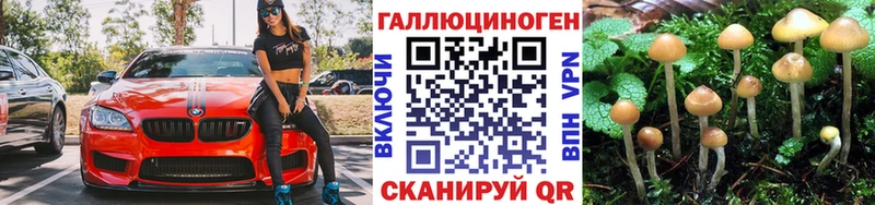 ссылка на мегу ссылки  Давлеканово  Псилоцибиновые грибы MAGIC MUSHROOMS 
